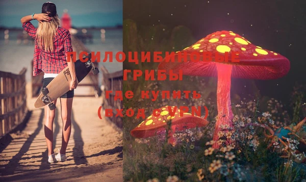 хмурый Переславль-Залесский