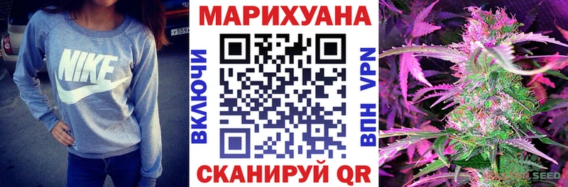 Шишки марихуана план  Багратионовск 
